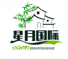 星月国际